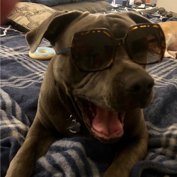 Meet your Posher, Cindy - Picture 4 of 7